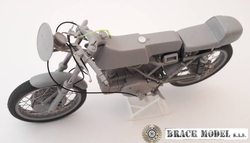 Brach Model